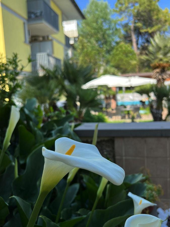 Hotel Ai Pini Grado Buitenkant foto